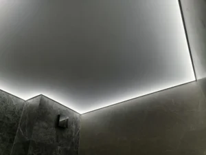 i (1)